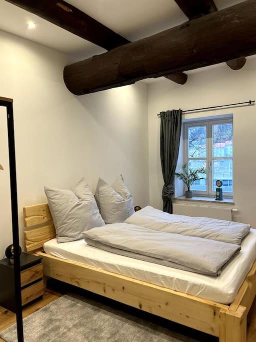 Donaublick Apartment Пасау Екстериор снимка